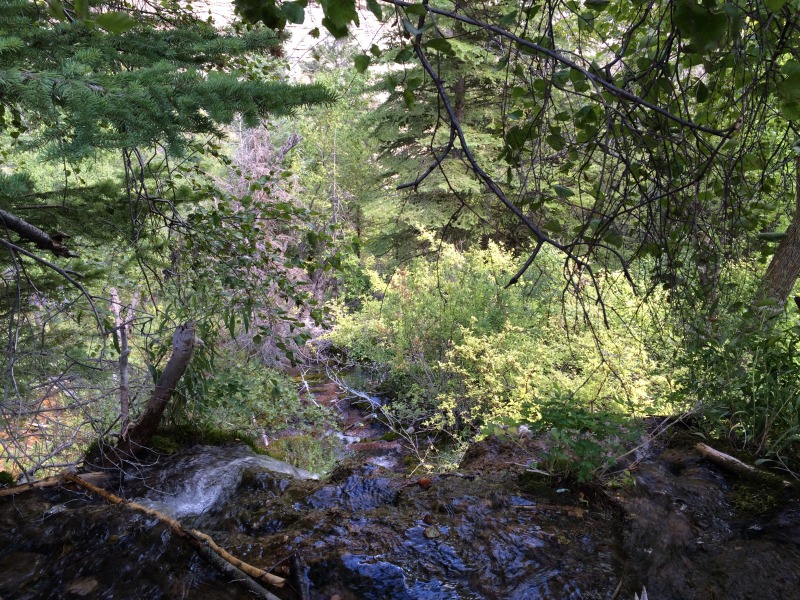 2015/08(August)/Colorado-anniversary/800x600_2015-08-15-Hanging-Lake-059.JPG