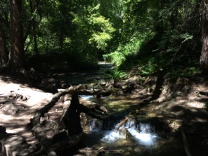 2015-08-15-Hanging-Lake-012.JPG