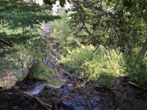 2015-08-15-Hanging-Lake-059.JPG