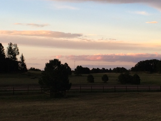 2015/08(August)/ERM-Maryan-Ro-retirement-party-in-Denver/640x480_2015-08-13-ERM-Denver-7-MaryanRo-Retirement-party.JPG
