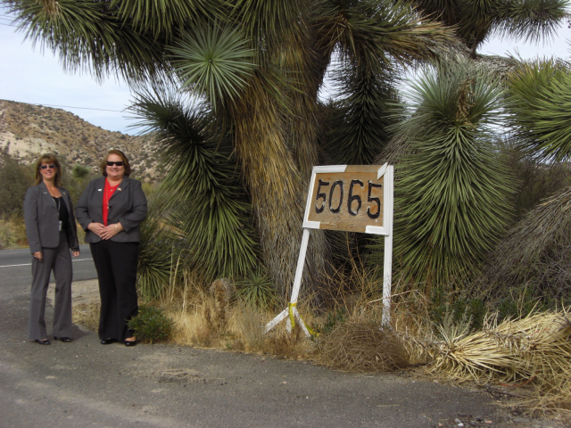 CIMG1145.jpg
