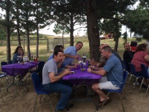 2015-08-13-ERM-Denver-10-MaryanRo-Retirement-party-Suzi-Scot-Dan-Bob-MikeT-Jonathan.JPG