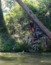 2015-08-01-Troop214-Krause-Springs-11-Scot-rope-swing.JPG