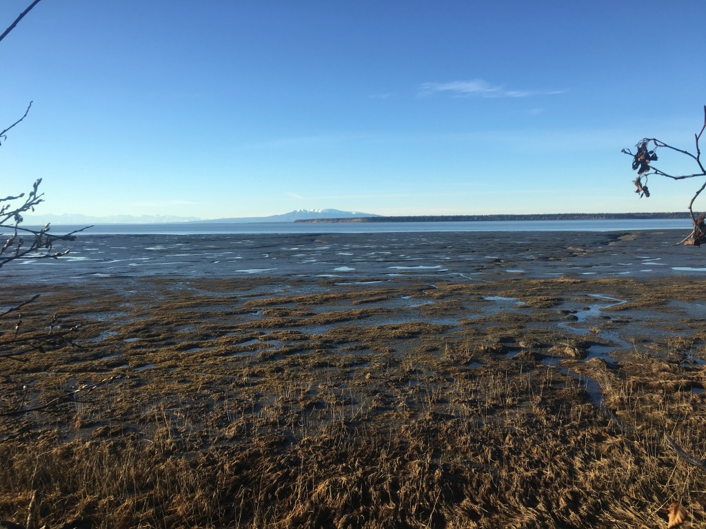 2015/10(October)/ERM-Anchorage-Alaska/1024x768_2015-10-21-ERM-Anchorage-AK-02.JPG