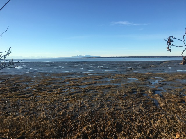 2015/10(October)/ERM-Anchorage-Alaska/640x480_2015-10-21-ERM-Anchorage-AK-02.JPG