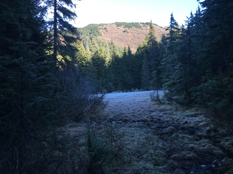 2015/10(October)/ERM-Anchorage-Alaska/800x600_2015-10-22-ERM-Anchorage-AK-12-Winner-Creek.JPG