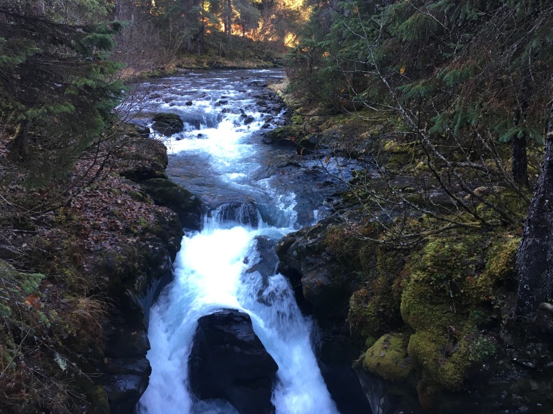 2015/10(October)/ERM-Anchorage-Alaska/800x600_2015-10-22-ERM-Anchorage-AK-15-Winner-Creek.JPG