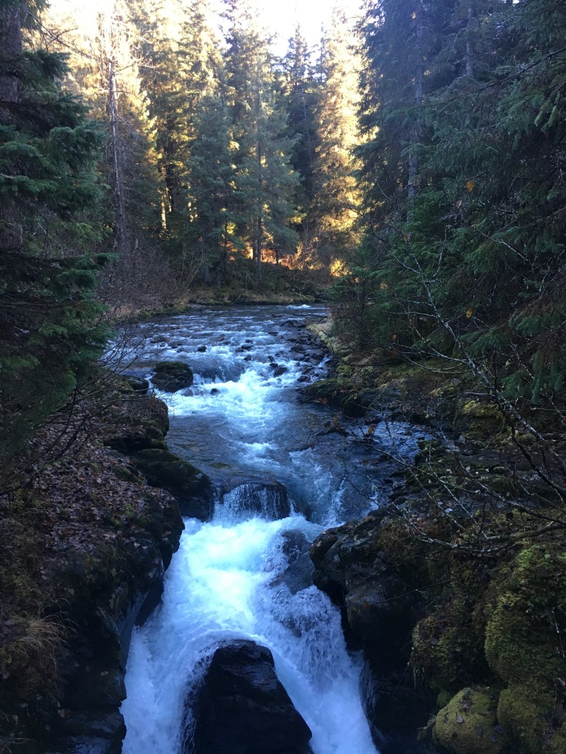 2015/10(October)/ERM-Anchorage-Alaska/800x600_2015-10-22-ERM-Anchorage-AK-16-Winner-Creek.JPG