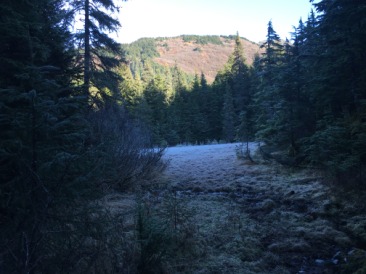 2015-10-22-ERM-Anchorage-AK-12-Winner-Creek.JPG