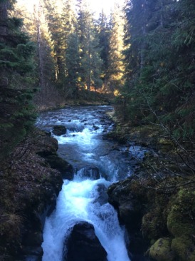 2015-10-22-ERM-Anchorage-AK-16-Winner-Creek.JPG