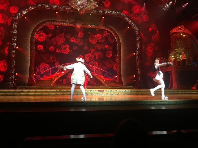 2015/11(November)/Adriana-visit-from-Buenos-Aires/01-Las-Vegas/640x480_2015-11-20-Las-Vegas-106-Cirque-du-Soleil-Zarkana.JPG