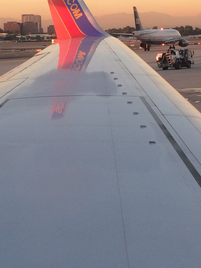 2015-11-18-Las-Vegas-03-frost-on-wing.JPG