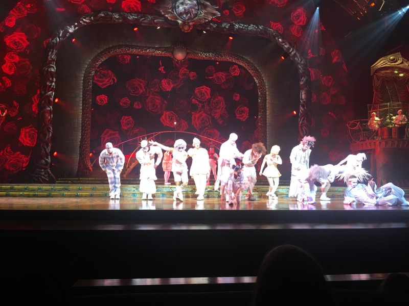 2015/11(November)/Adriana-visit-from-Buenos-Aires/01-Las-Vegas/800x600_2015-11-20-Las-Vegas-105-Cirque-du-Soleil-Zarkana.JPG