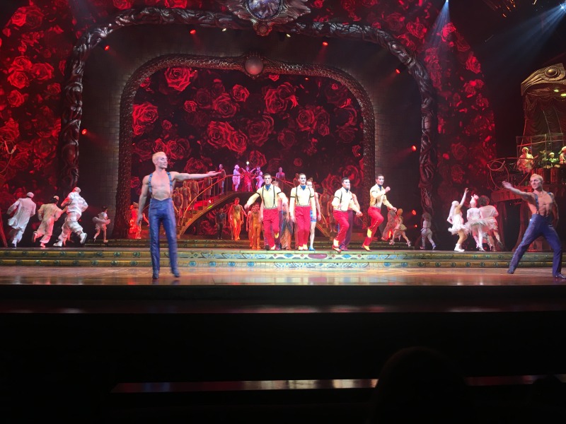 2015/11(November)/Adriana-visit-from-Buenos-Aires/01-Las-Vegas/800x600_2015-11-20-Las-Vegas-97-Cirque-du-Soleil-Zarkana.JPG