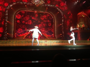 2015-11-20-Las-Vegas-106-Cirque-du-Soleil-Zarkana.JPG