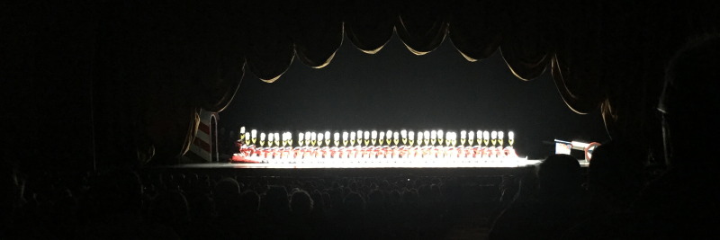 2015/11(November)/Adriana-visit-from-Buenos-Aires/07-New-York-City-Rockettes/800x600_2015-12-04-New-York-City-Rockettes-29.JPG