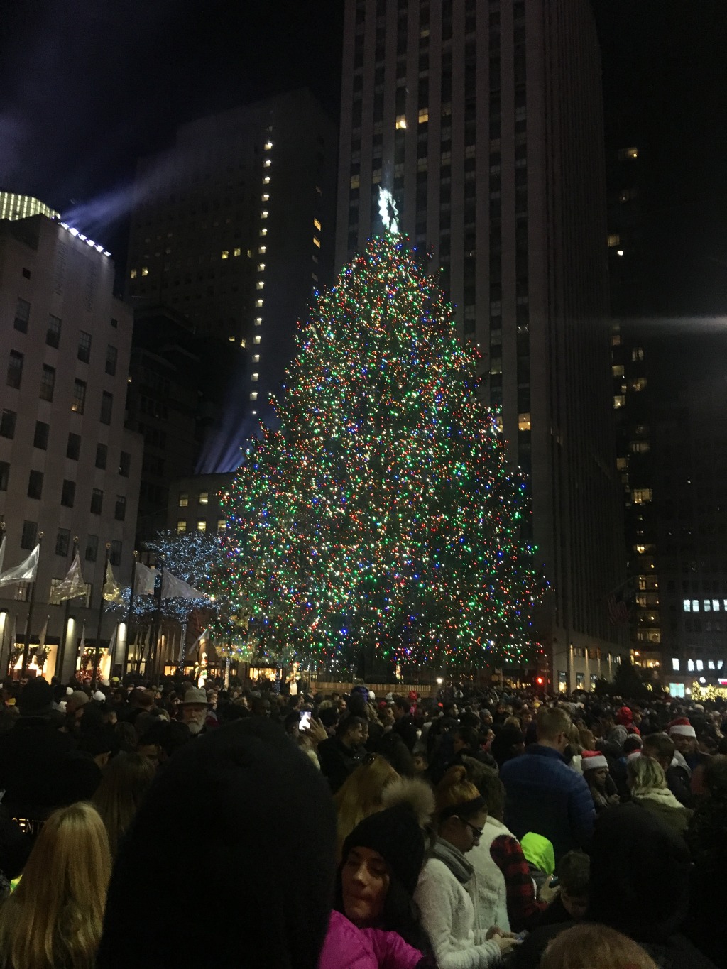 2015/11(November)/Adriana-visit-from-Buenos-Aires/08-New-York-City-Rockerfeller/1024x768_2015-12-05-New-York-City-Rockerfeller-24-tree.JPG