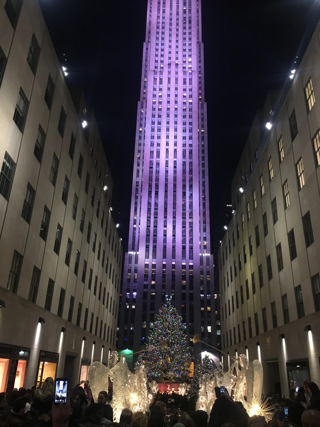 2015/11(November)/Adriana-visit-from-Buenos-Aires/08-New-York-City-Rockerfeller/1024x768_2015-12-05-New-York-City-Rockerfeller-35-tree.JPG