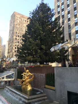 2015-12-05-New-York-City-Rockerfeller-12-tree.JPG