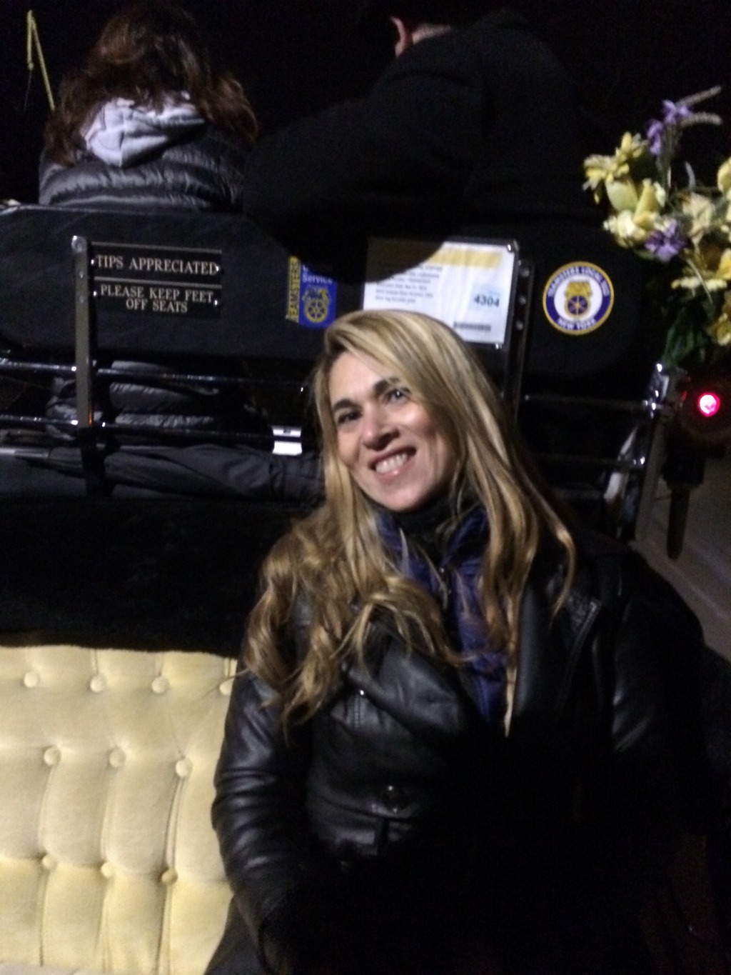 2015/11(November)/Adriana-visit-from-Buenos-Aires/09-New-York-City-Central-Park/1024x768_2015-12-05-New-York-City-Central-Park-12-Carriage-Ride-Adriana.JPG