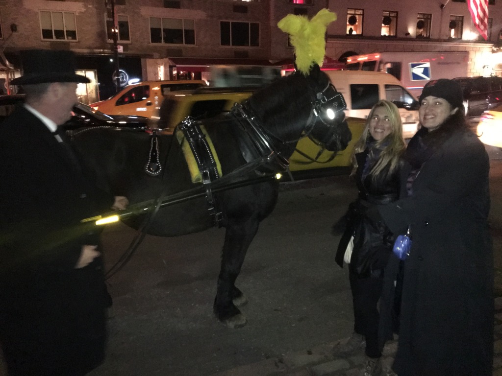 2015/11(November)/Adriana-visit-from-Buenos-Aires/09-New-York-City-Central-Park/1024x768_2015-12-05-New-York-City-Central-Park-17-Carriage-Ride-Adriana-Suzi.JPG