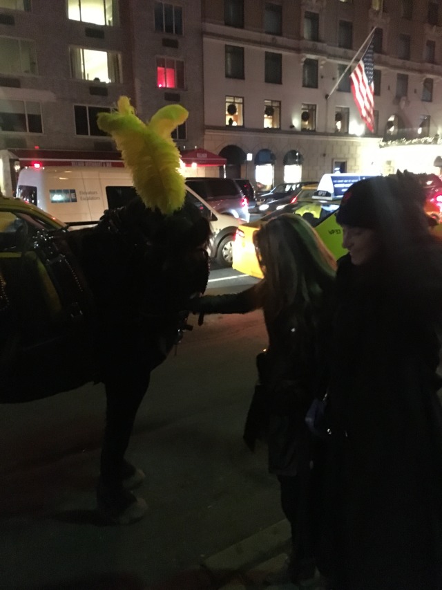 2015/11(November)/Adriana-visit-from-Buenos-Aires/09-New-York-City-Central-Park/640x480_2015-12-05-New-York-City-Central-Park-16-Carriage-Ride-Adriana-Suzi.JPG