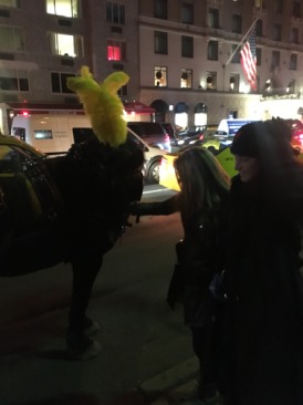 2015-12-05-New-York-City-Central-Park-16-Carriage-Ride-Adriana-Suzi.JPG