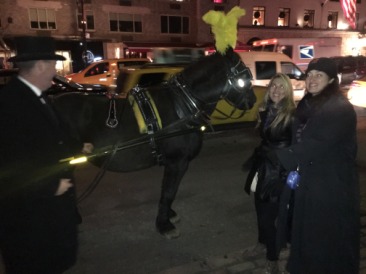 2015-12-05-New-York-City-Central-Park-17-Carriage-Ride-Adriana-Suzi.JPG