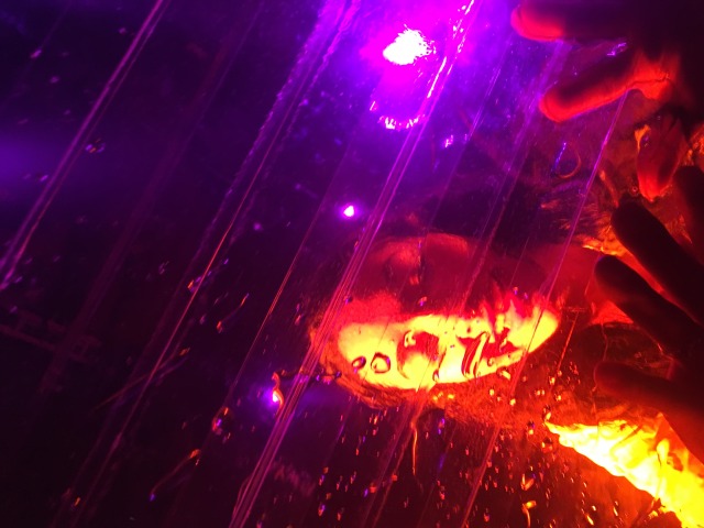 2015/11(November)/Adriana-visit-from-Buenos-Aires/14-New-York-City-Fuerza-Bruta-show/640x480_2015-12-06-New-York-City-Fuerza-Bruta-show-12.JPG