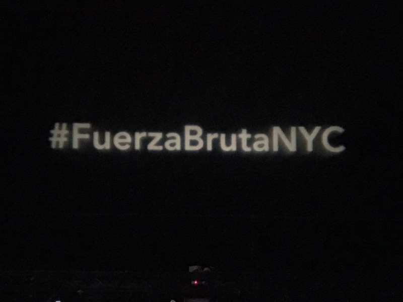 2015/11(November)/Adriana-visit-from-Buenos-Aires/14-New-York-City-Fuerza-Bruta-show/800x600_2015-12-06-New-York-City-Fuerza-Bruta-show-04.JPG