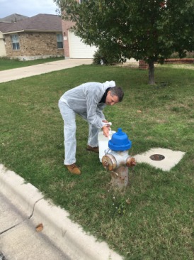 2015-11-14-Dax-Eagle-Project-paint-fire-hydrants-storm-drains-29-Troy.JPG