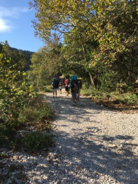 2015-10-18-Troop214-Lost-Maples-22.JPG