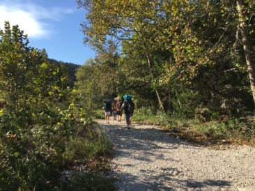 2015-10-18-Troop214-Lost-Maples-23.JPG