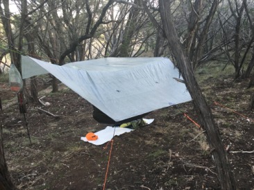 2015-12-19-Camping-Pedernales-41-hammock-setup.JPG