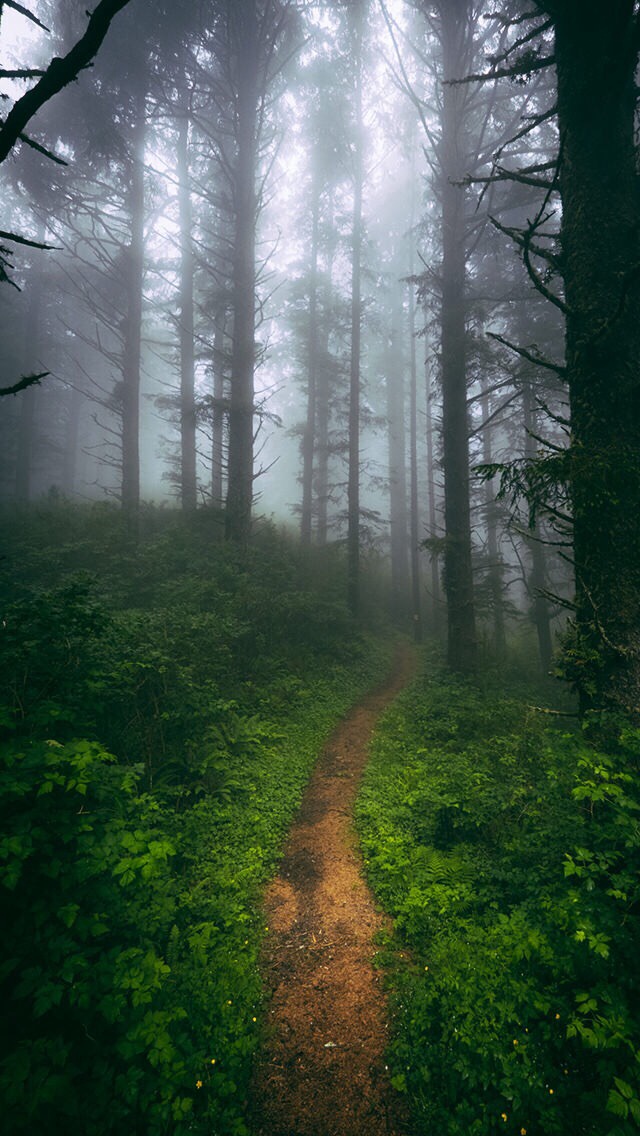 2015/Appalachian-Trail-stuff/640x480_Phone-Background.JPG