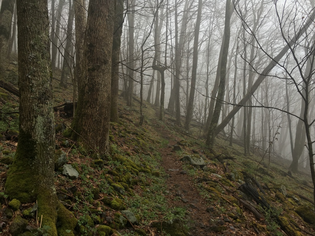 2016/03(March)/2016-03-Appalachian-Trail-BEST/1024x768_2016-04-23-Appalachian-Trail-141-scenery.JPG