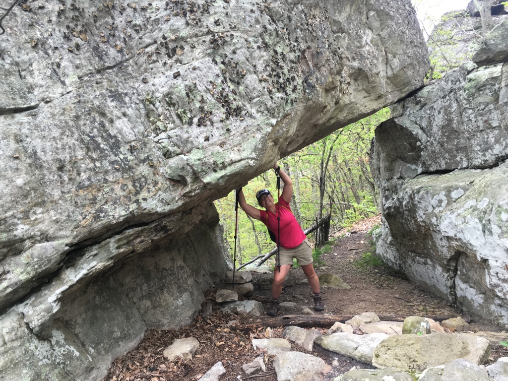 2016/03(March)/2016-03-Appalachian-Trail-BEST/1024x768_2016-05-06-Appalachian-Trail-187-Stitch.JPG