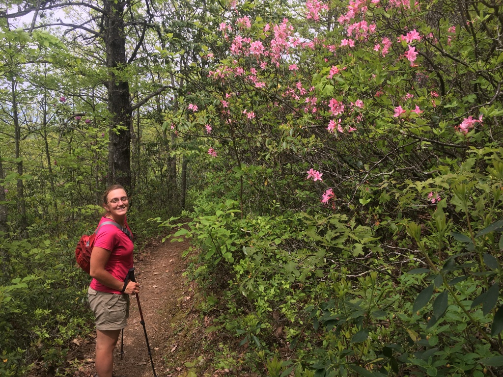 2016/03(March)/2016-03-Appalachian-Trail-BEST/1024x768_2016-05-08-Appalachian-Trail-193-Stitch.JPG