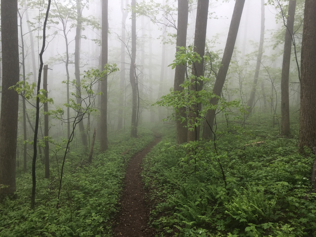 2016/03(March)/2016-03-Appalachian-Trail-BEST/1024x768_2016-05-10-Appalachian-Trail-197-scenery.JPG