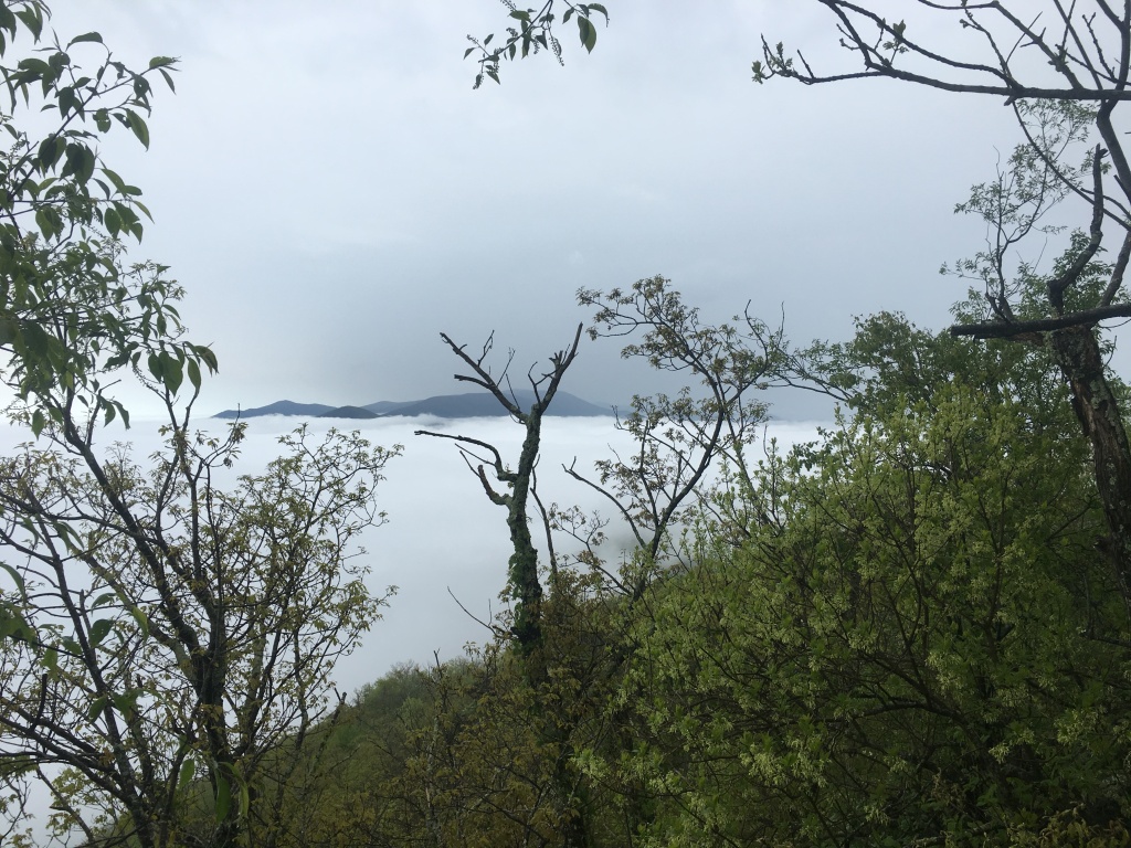 2016/03(March)/2016-03-Appalachian-Trail-BEST/1024x768_2016-05-11-Appalachian-Trail-199-above-the-clouds-scenery.JPG