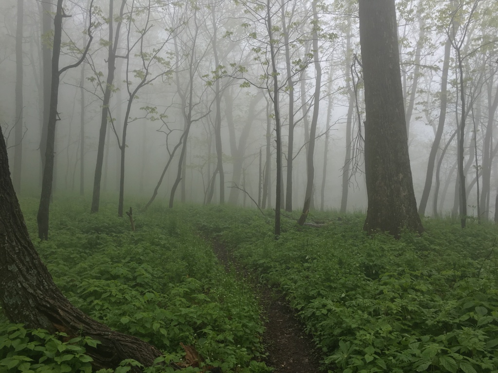 2016/03(March)/2016-03-Appalachian-Trail-BEST/1024x768_2016-05-11-Appalachian-Trail-200-scenery-GOOD.JPG