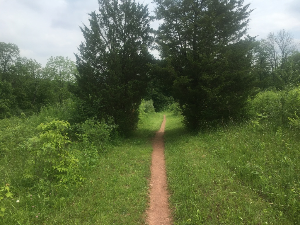 2016/03(March)/2016-03-Appalachian-Trail-BEST/1024x768_2016-06-02-Appalachian-Trail-299-scenery.JPG