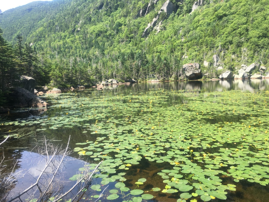 2016/03(March)/2016-03-Appalachian-Trail-BEST/1024x768_2016-07-21-Appalachian-Trail-516-Carter-Pond-scenery.JPG