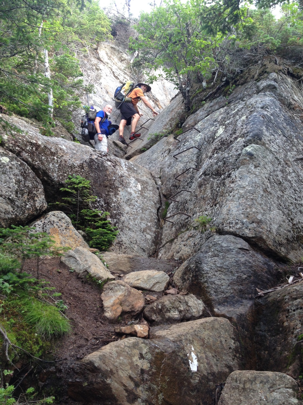 2016-07-25-Appalachian-Trail-527-GrandDaddyLongLegs-Bevo-climbing-rebar-stairs.JPG