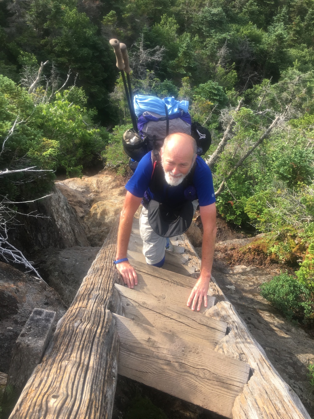 2016/03(March)/2016-03-Appalachian-Trail-BEST/1024x768_2016-07-25-Appalachian-Trail-528-GrandDaddyLongLegs.JPG