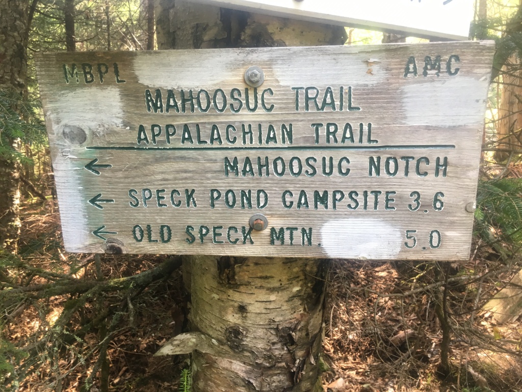 2016/03(March)/2016-03-Appalachian-Trail-BEST/1024x768_2016-07-25-Appalachian-Trail-530-Mahoosuc-Notch-beginning.JPG