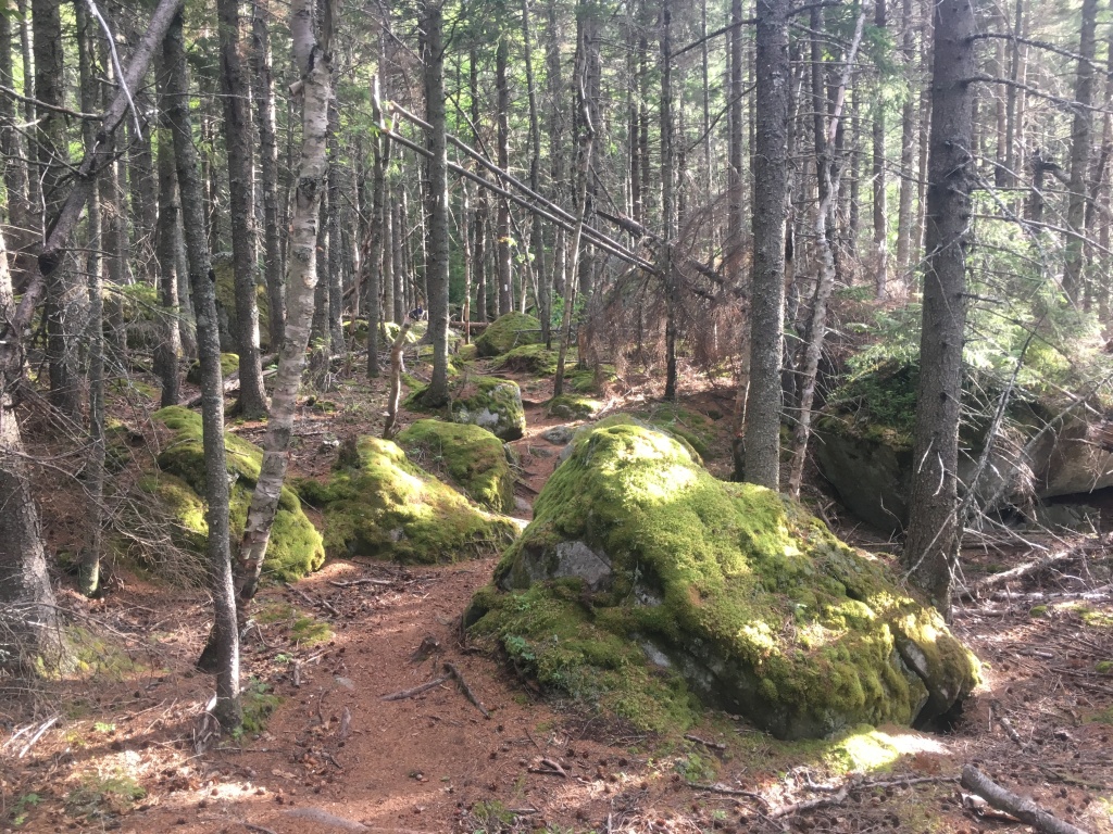 2016/03(March)/2016-03-Appalachian-Trail-BEST/1024x768_2016-08-01-Appalachian-Trail-558-scenery.JPG