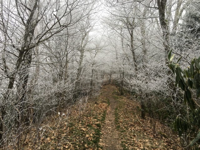 2016-04-05-Appalachian-Trail-074-frost.JPG