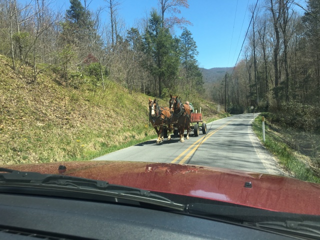 2016-04-17-Appalachian-Trail-120-horse-drawn-carriage-near-Kincora-hostel.JPG