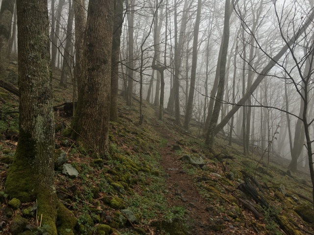 2016/03(March)/2016-03-Appalachian-Trail-BEST/640x480_2016-04-23-Appalachian-Trail-141-scenery.JPG